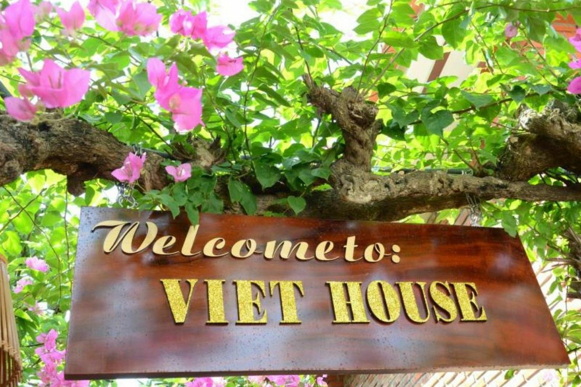 313 Cua Dai - Viet House Homestay Hoi An Exterior foto